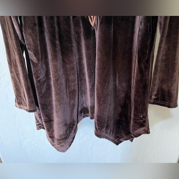 Misslook|Brown Velvet Tunic Top with Floral Embroidered Accent, Size 2x•••Boho - Picture 4 of 11